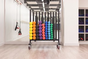 weights in gym
