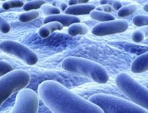 The Gut-Brain Connection